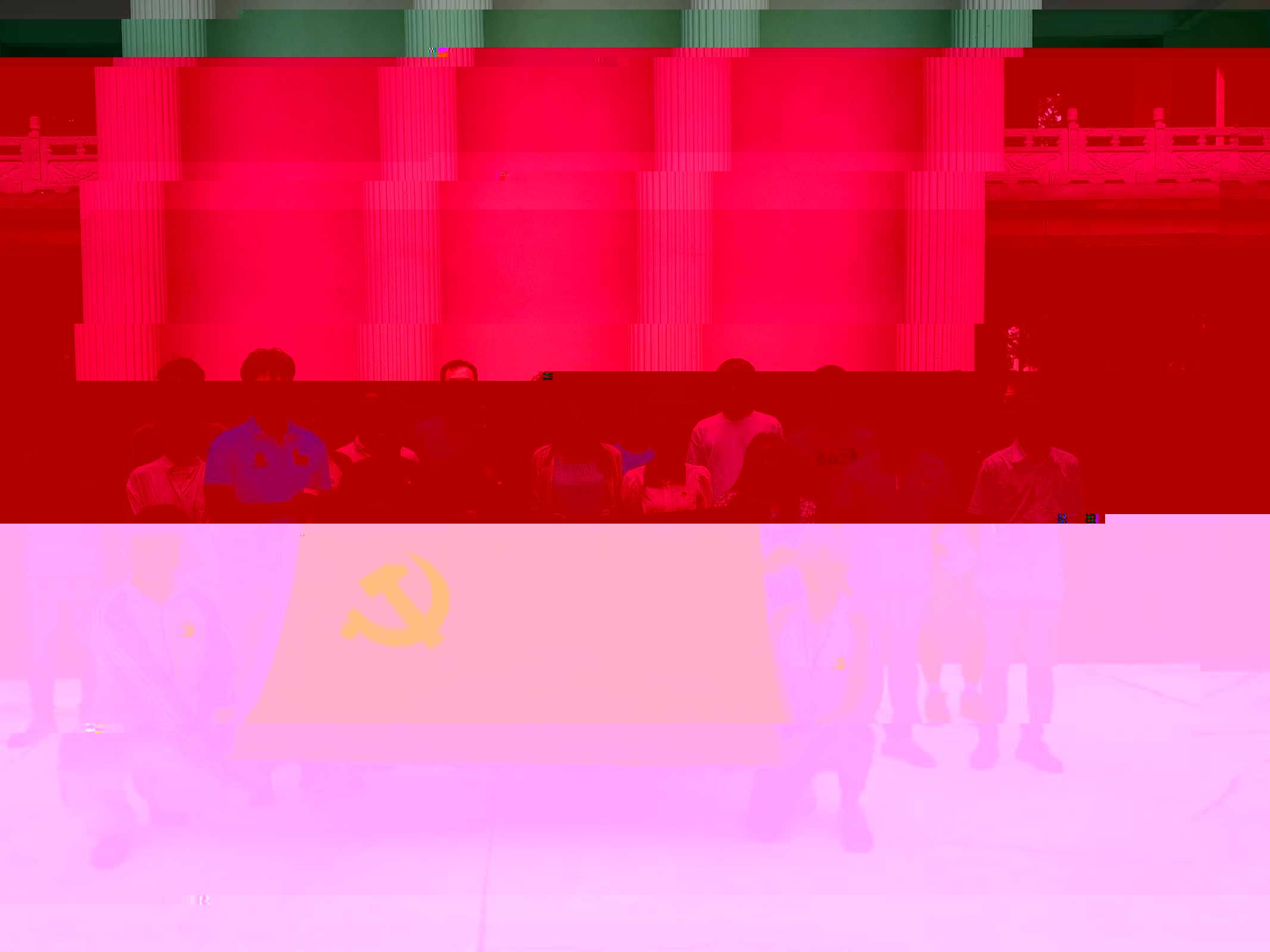 圖為全體參會黨員合影