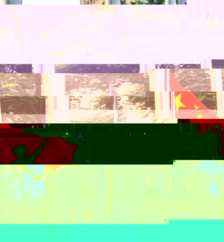 圖片 11