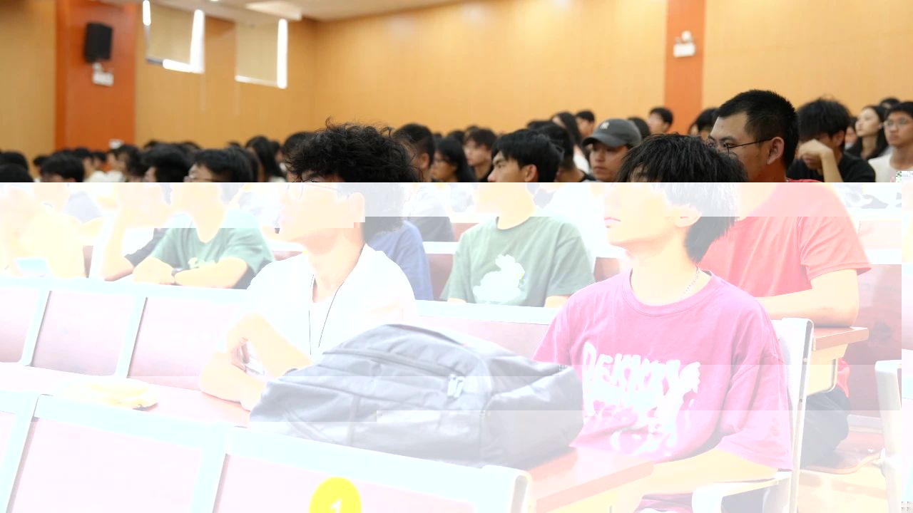 圖片 13