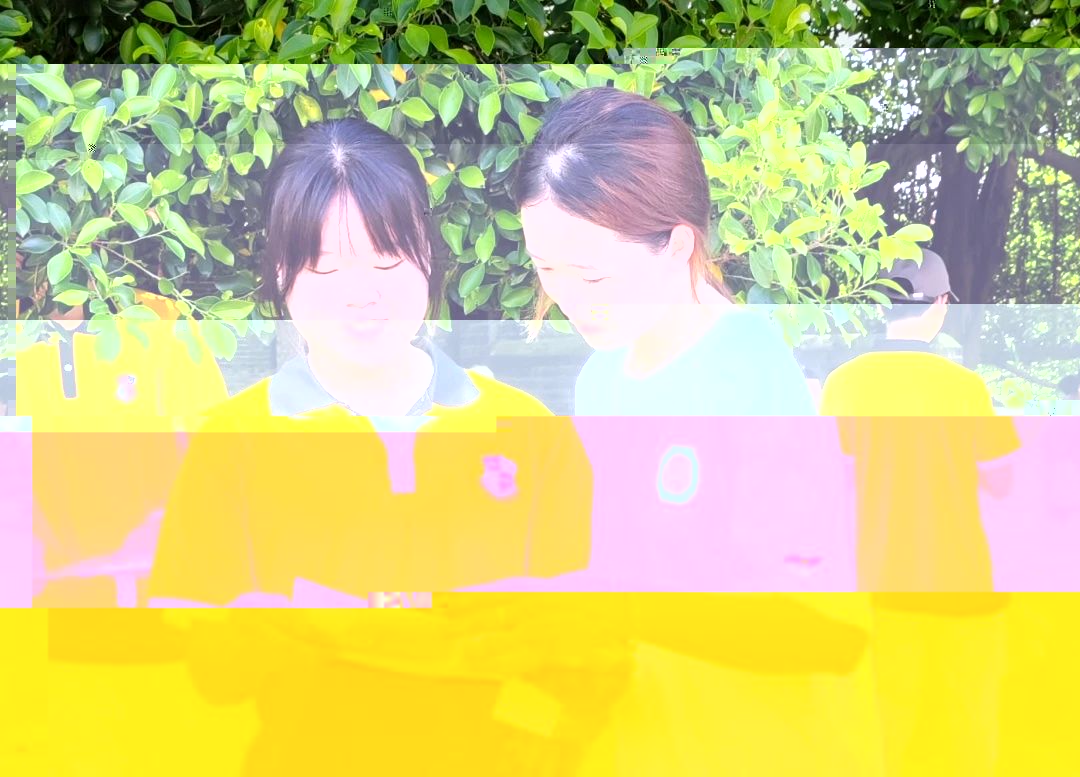 圖片 8